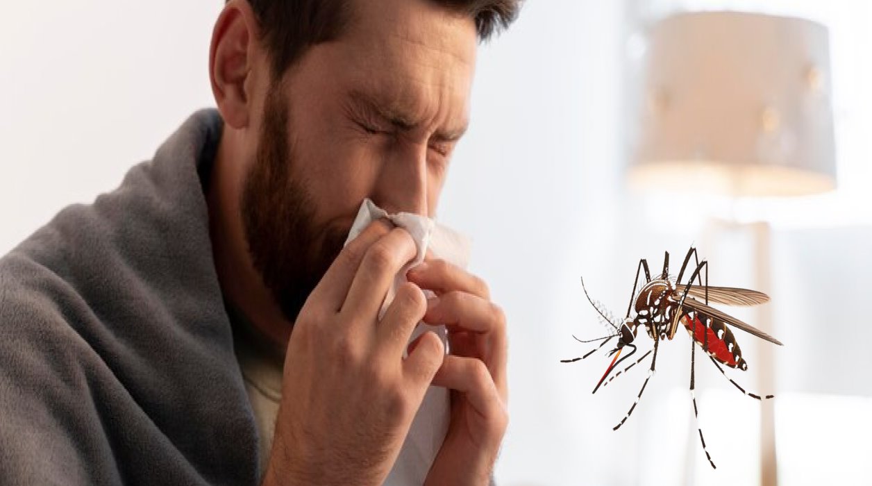 La llegada de miles de turistas a Tamaulipas durante Semana Santa podría generar un aumento en los casos de dengue. Foto: Redes Sociales