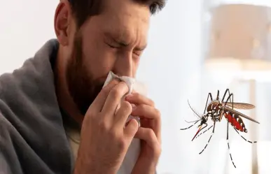 Temen que en semana santa se incrementen los casos de Dengue en el sur de Tamaulipas