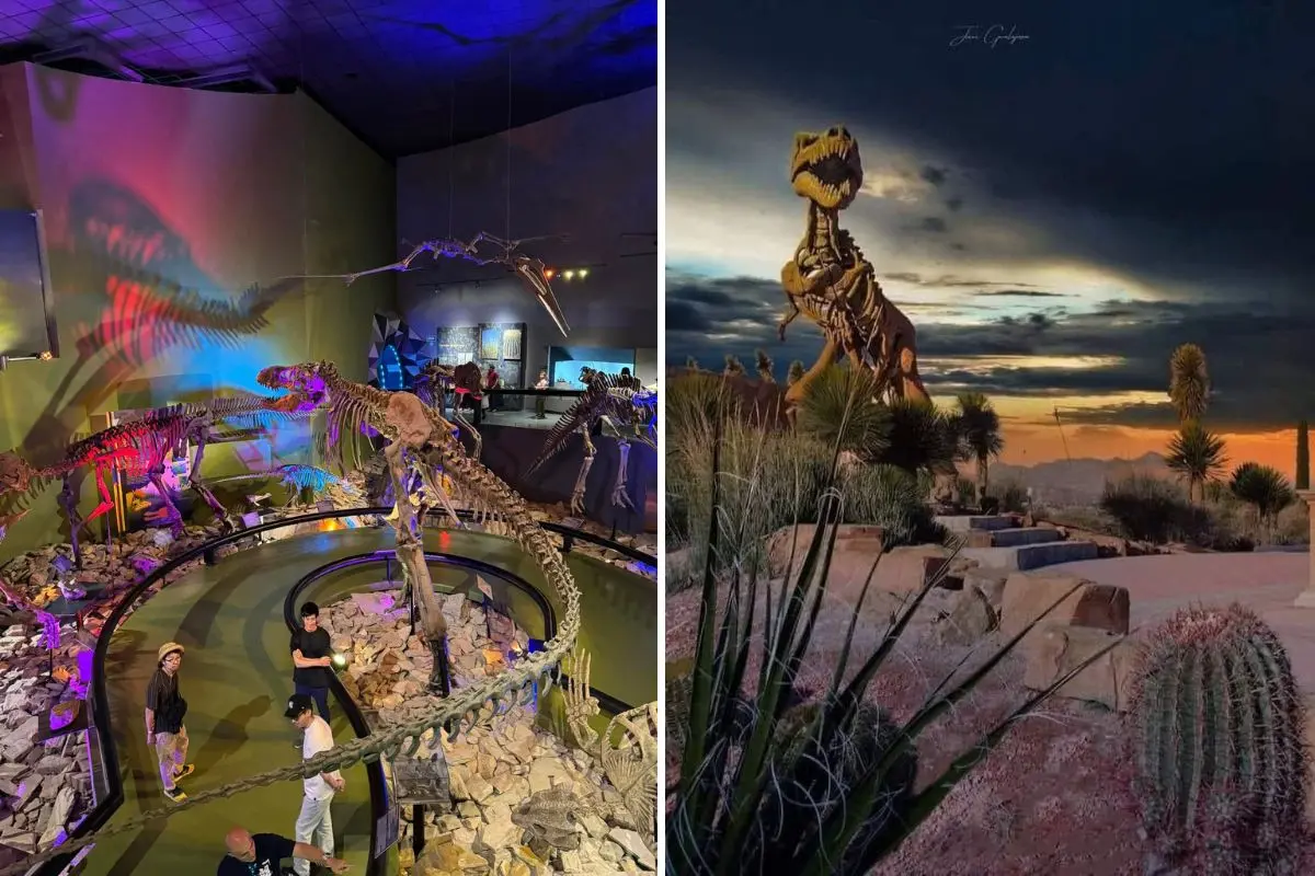 Museo del desierto en Saltillo. Foto de Viajero Cool.