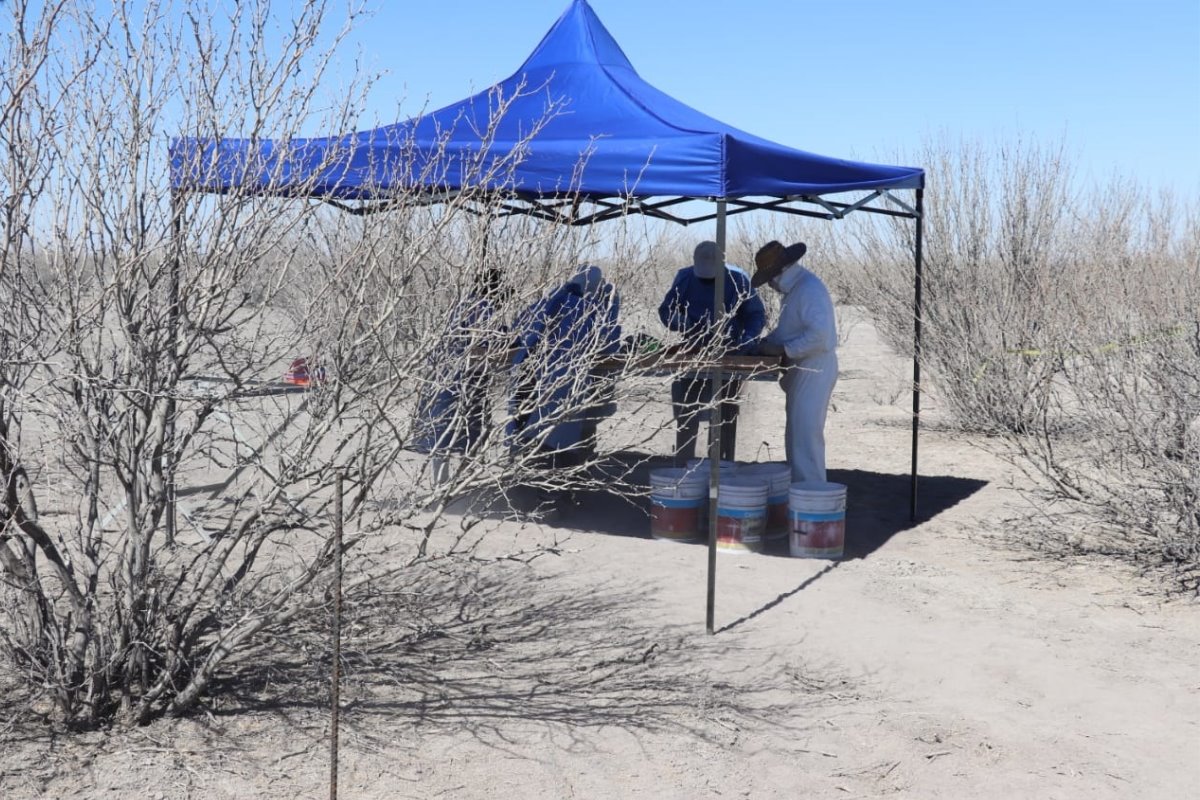 A pesar de los esfuerzos de búsqueda realizados por colectivos y autoridades, el miedo sigue presente entre los habitantes de la zona./Gobierno del Estado de Coahuila