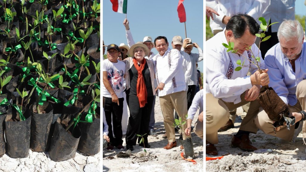 Joaquín Díaz Mena y Alicia Bárcena encabezan el Inicio de reforestación de mangle en Yucatán