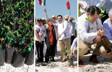 Joaquín Díaz Mena y Alicia Bárcena encabezan el Inicio de reforestación de mangle en Yucatán