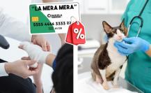 Tarjeta La Mera Mera en Coahuila, estos son todos los descuentos disponibles en Saltillo 