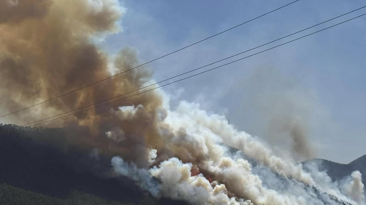 Incendio en los lirios y el tunal. Foto de Roberto Flores.