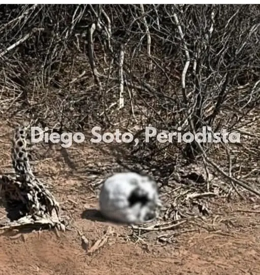 Foto: Diego Soto / Facebook.