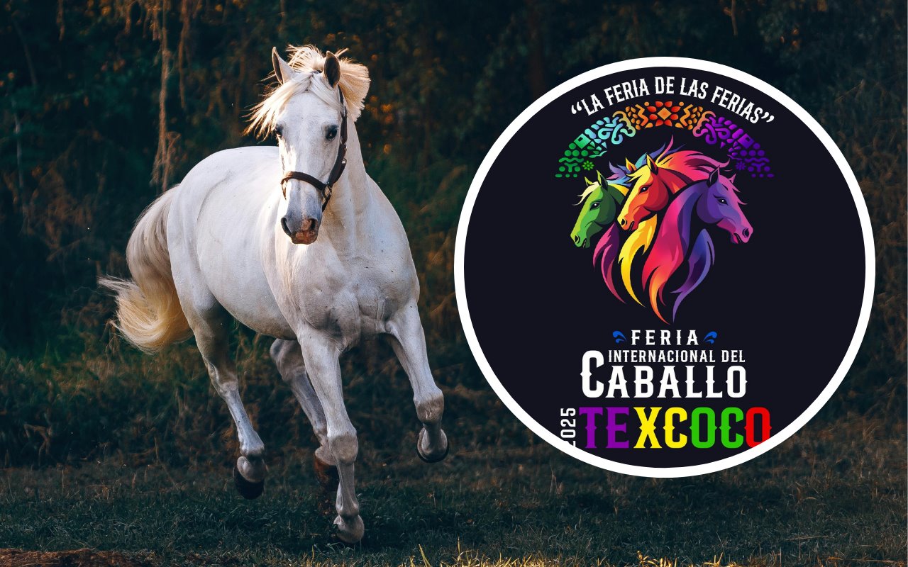 La Feria Internacional del Caballo es una de las ferias más famosas del Edomex. Foto: Feria del Caballo Texcoco (Canva)