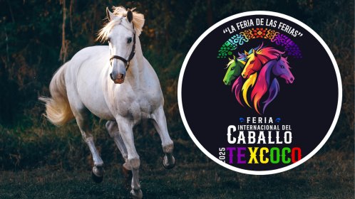 Feria Internacional del Caballo 2025, en Texcoco ¿cuánto cuesta?