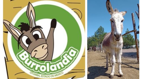 Visita el parque temático de Burrolandia en  Otumba, Edomex