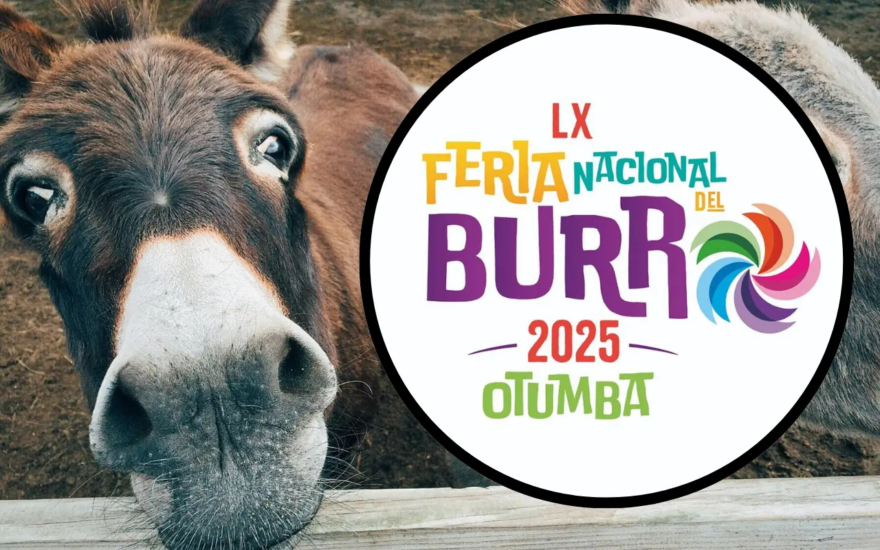 Conoce la historia y cultura de Otumba, no te pierdas la Feria Internacional del Burro 2025. Foto: FB/Feria Nacional del Burro Otumba 2025 (Canva)