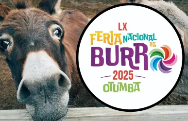 ¿Conoces la Feria Nacional del Burro? en Otumba, Edomex