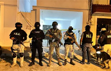 Autoridades decomisan más de 49 mdp en drogas en 3 predios de Mérida