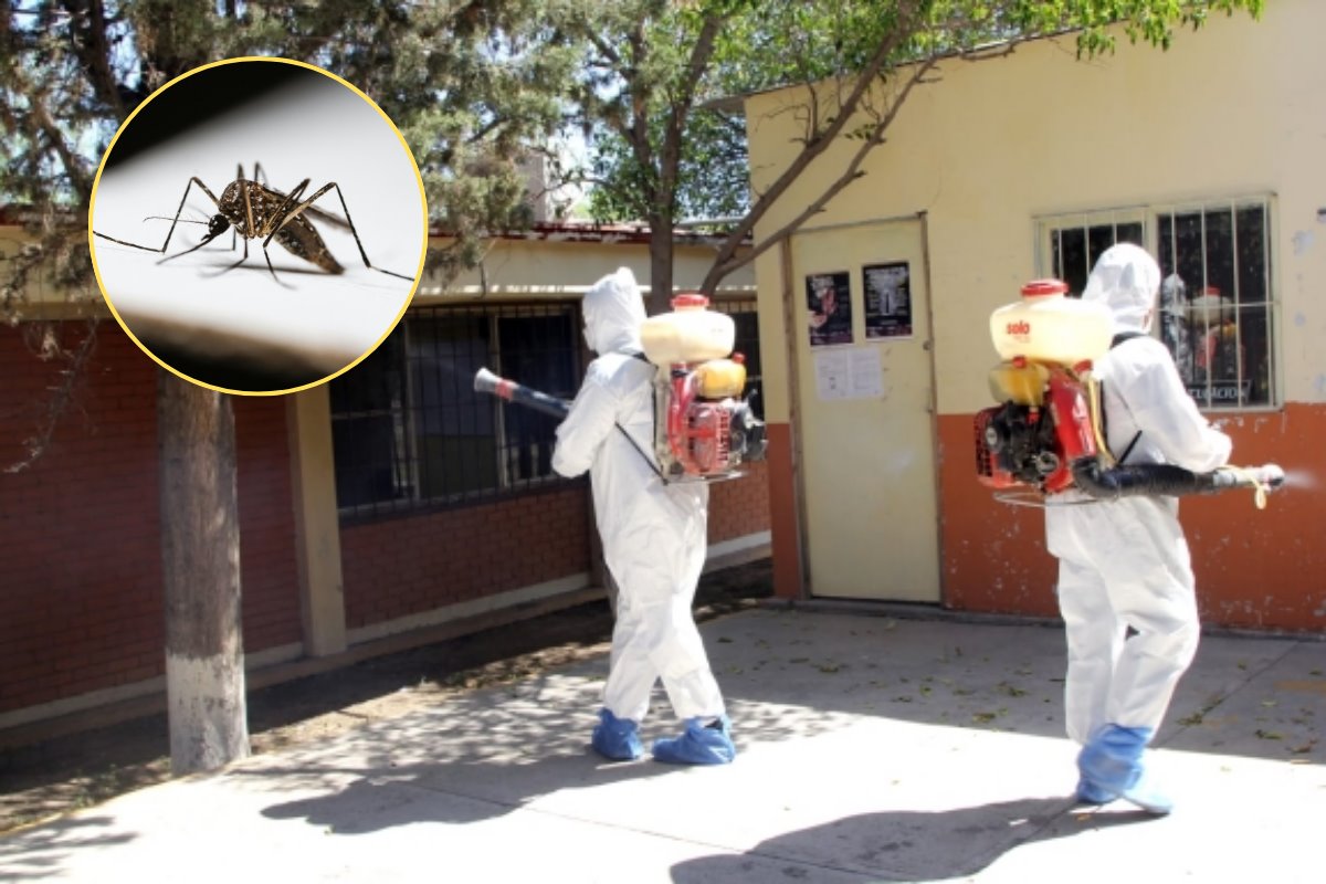 En lo que va del 2025, se han confirmado 11 casos de dengue en la región de Piedras Negras, aunque ninguno con signos de alarma./Foto: Secretaría de Salud/ Canva