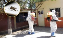 Dengue en Coahuila, se pronostican temporada severa en la región