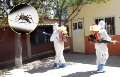 Dengue en Coahuila, se pronostican temporada severa en la región