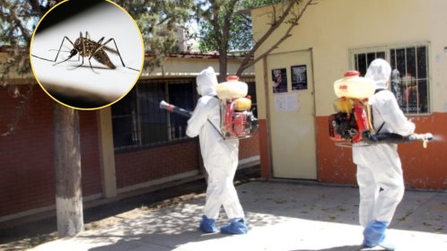 Dengue en Coahuila, se pronostican temporada severa en la región