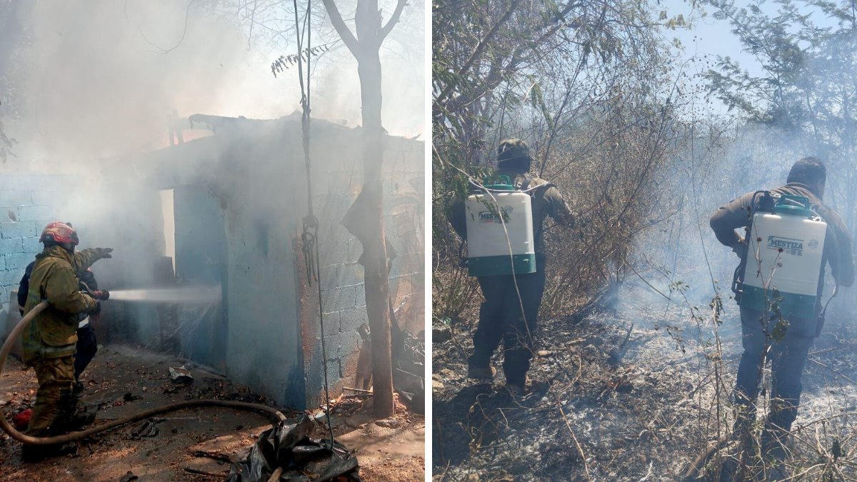 Estos incendios fueron generados por el llamado efecto lupa Foto: Irving Gil