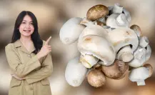 Aprende a lavar y desinfectar los champiñones con este increíble tip