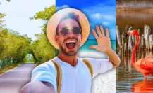 ¿Qué es Vive Telchac y qué beneficios se esperan para el puerto?