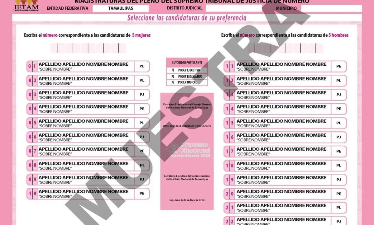 Boleta muestra para elección judicial. Foto: Redes Sociales