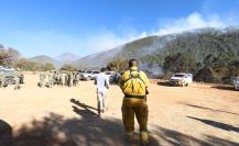 Incendio en Los Lirios y El Tunal, Coahuila: brigadistas trabajan para sofocar el fuego