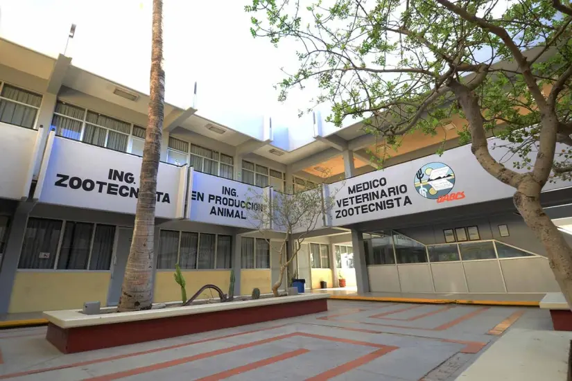 La UABCS cuenta con modernas instalaciones y una cobertura en todo el Estado. Foto: UABCS.