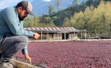 ¿A dónde se exporta el café de Chiapas?