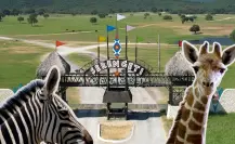 Conoce el zoológico con más de 800 animales que está a 1 hora de Monterrey