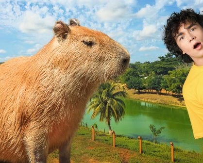 Este es el único lugar de Yucatán para ver capibaras... ¡Descúbrelo!