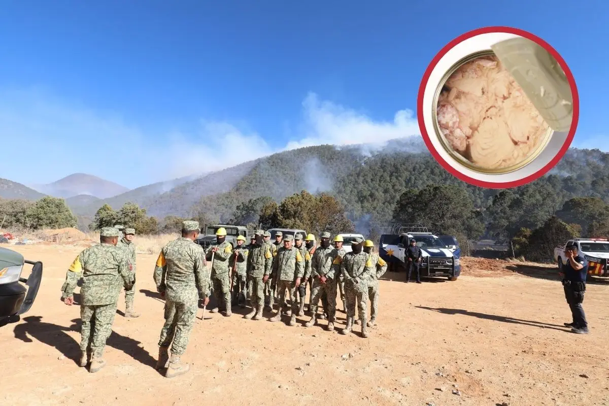 Ponen centros de acopio para el incendio de los lirios y el tunal. Fotos de Protección Civil y canva.