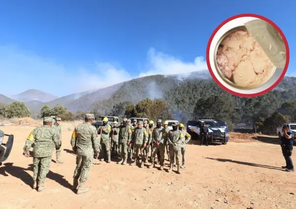 Incendio en Los Lirios y El Tunal en Coahuila: ¿Qué donar en los centros de acopio?