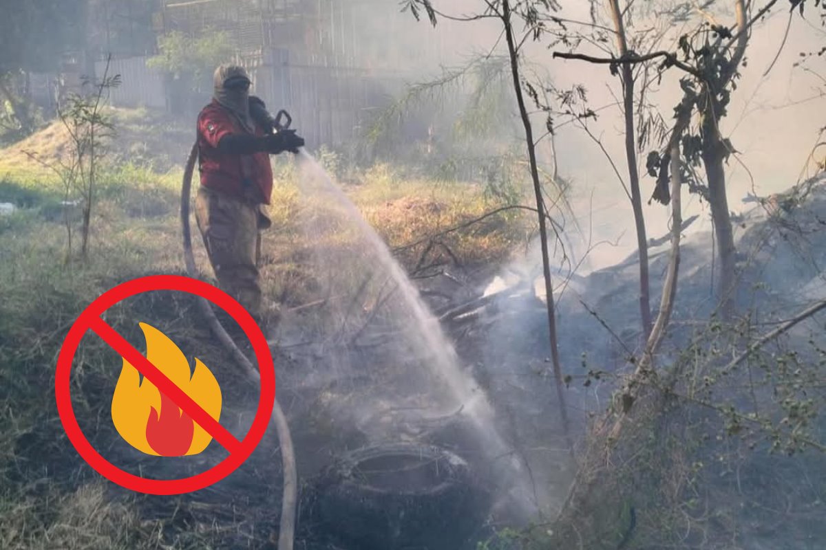 La temporada de incendios forestales ya inició en Tamaulipas y el gobernador del estado, el Dr. Américo Villarreal, mandó desplegar un operativo con la intención de mantener la situación controlada. Foto: Posta Tamaulipas