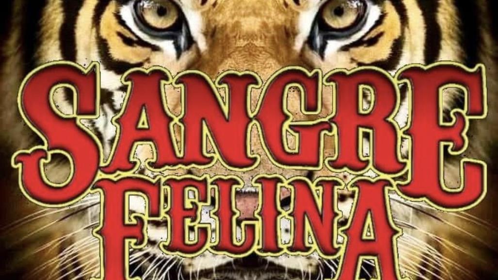 Sangre Felina, conoces al grupo regio que le sigue los pasos a Tigres del Norte