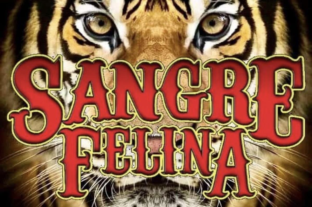 Sangre Felina, conoces al grupo regio que le sigue los pasos a Tigres del Norte Foto: IG Sangre Felina Oficial