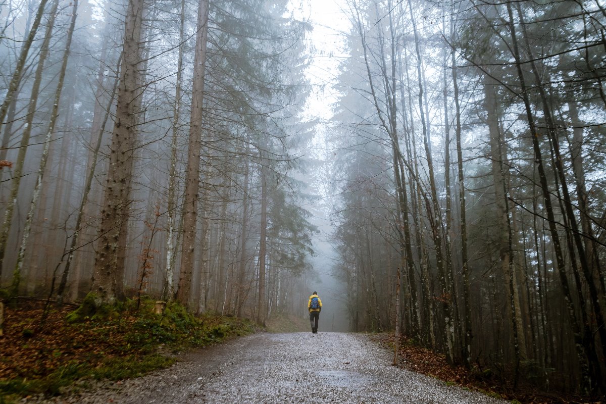 Al realizar una caminata silenciosa puedes adelgazar y relaja tu mente, dejando atrás música y tecnología. Foto: Canva