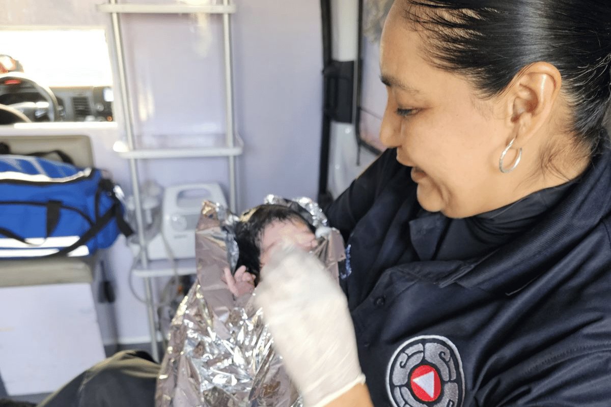 Tras el exitoso parto, los especialistas monitorearon los signos vitales de la madre, los cuales se encontraron dentro de parámetros normales. Foto: Jaguares Santa Catarina.