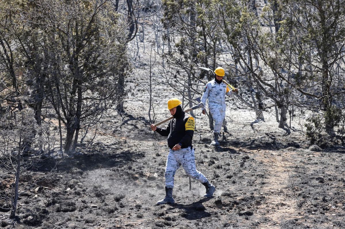 Brigadistas y autoridades colaborando en el incendio de Arteaga / Foto: Gobierno de Arteaga