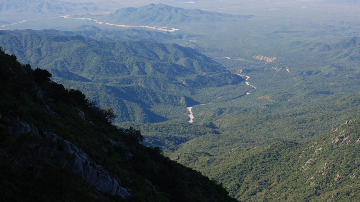 Los caminos de la Sierra de la Laguna llevan a cascadas, cañones y pozas naturales, perfectos para el senderismo y la exploración. Foto: CONANP