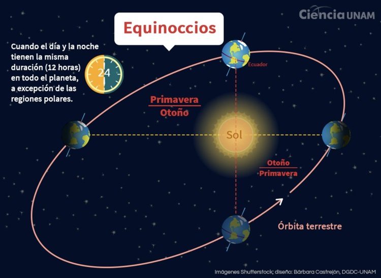imagen-cuerpo imagen-cuerpo