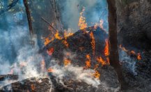 Tamaulipas envuelto en fuego, calor y cenizas