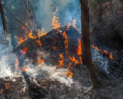 Tamaulipas envuelto en fuego, calor y cenizas