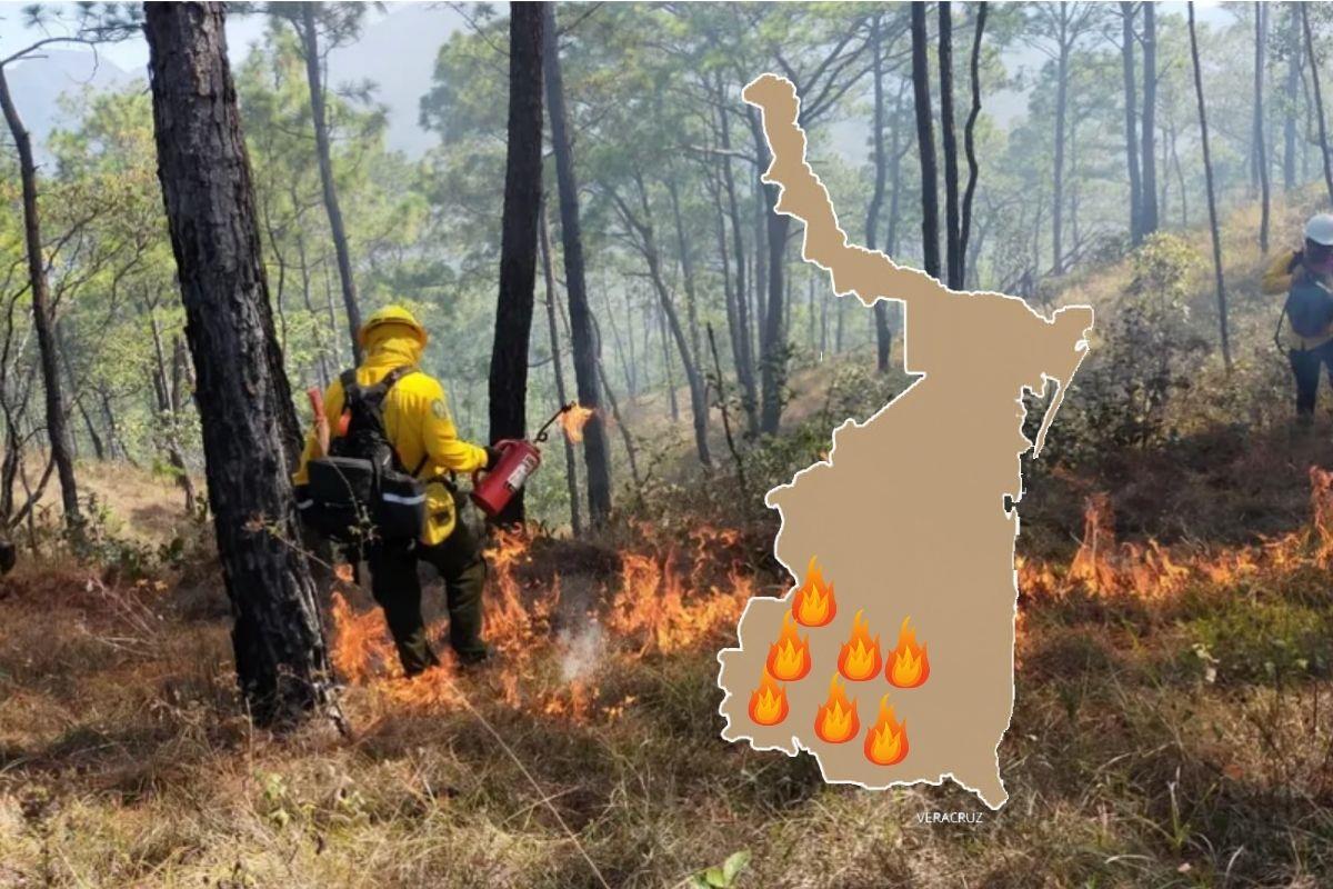 Infierno en Tamaulipas: incendios forestales se registran simultáneamente en estos municipios