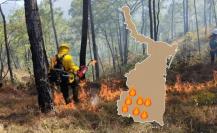 Infierno en Tamaulipas: incendios forestales se registran simultáneamente en estos municipios