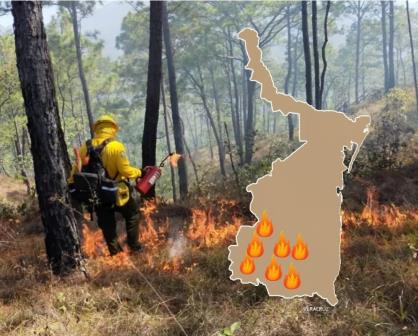 Infierno en Tamaulipas: incendios forestales se registran simultáneamente en estos municipios