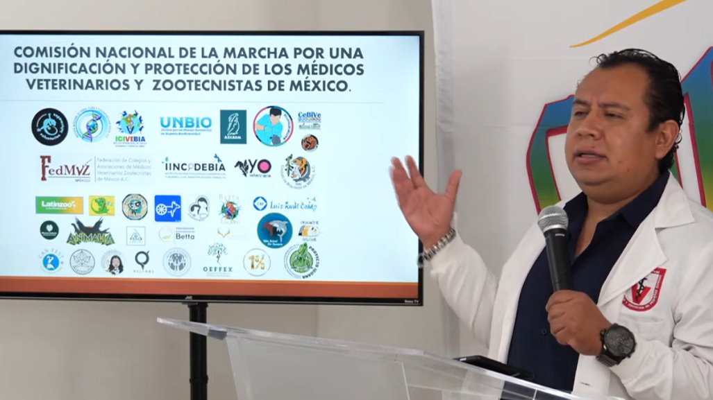 Veterinarios piden a diputados de CDMX legislar para frenar agresiones hacia su gremio