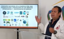 Veterinarios piden a diputados de CDMX legislar para frenar agresiones hacia su gremio