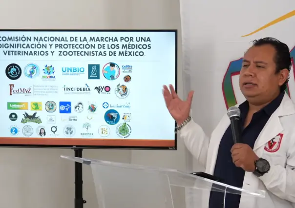 Veterinarios piden a diputados de CDMX legislar para frenar agresiones hacia su gremio