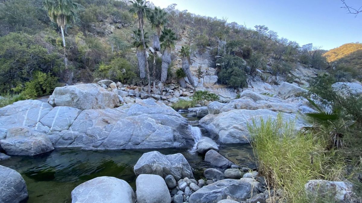 Si andas buscando un plan diferente en Baja California Sur, las aguas termales de Santa Rita tienen varias opciones para pasar el día: Foto: AllTrails