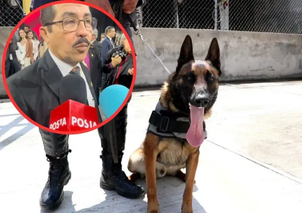 UAT reforzará seguridad en campus con binomios caninos y cámaras de seguridad