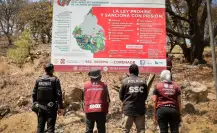 SEDEMA recupera 4.6 hectáreas de suelo de conservación invadido en Xochimilco