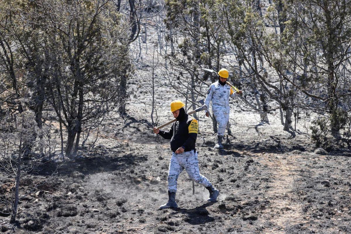 Fase final del incendio en Arteaga / Foto: Gobierno de Arteaga